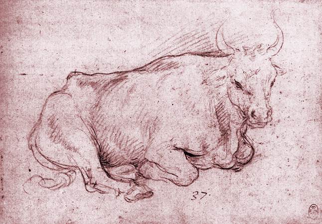 Seated Bull by CESARE da Sesto