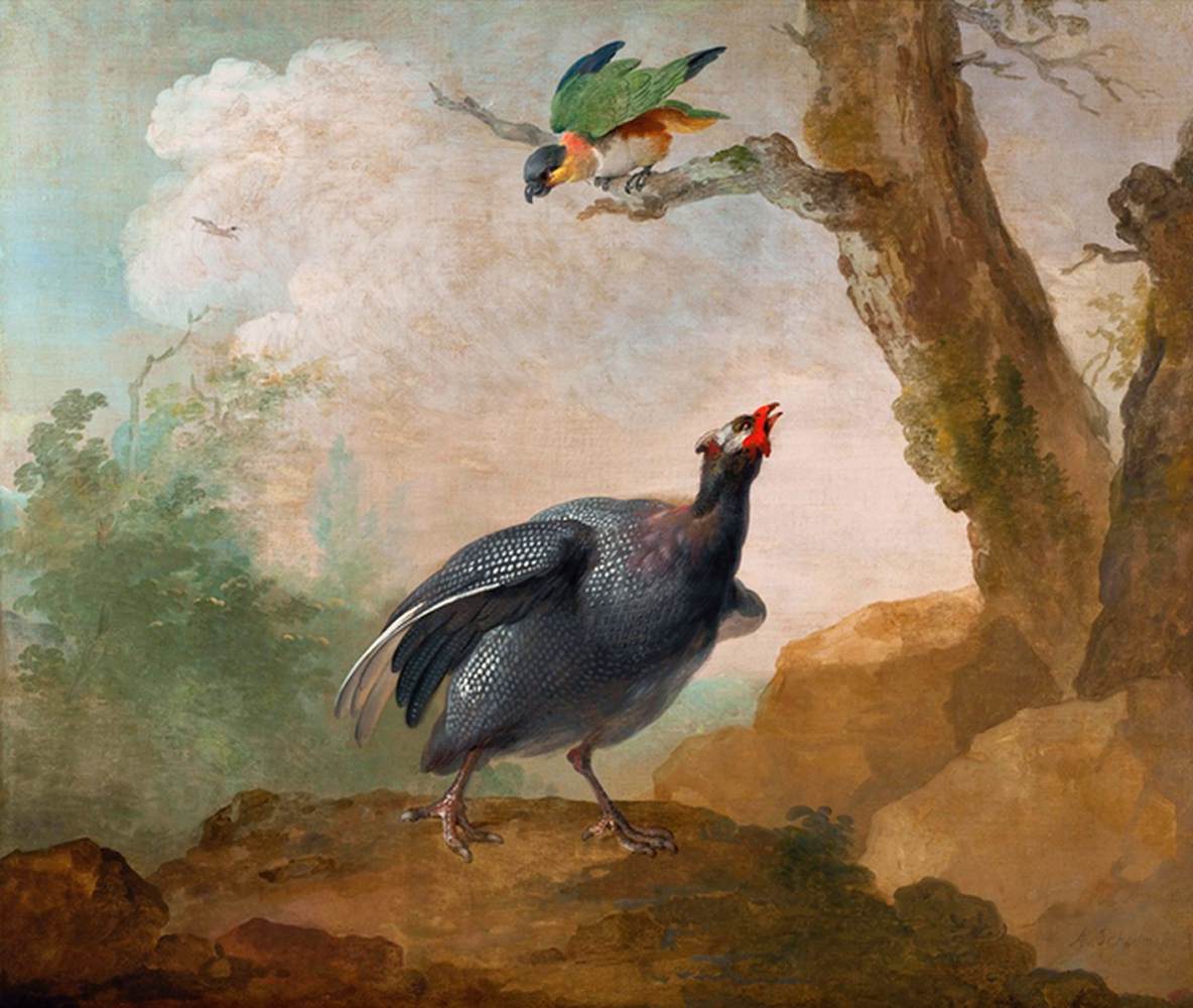 Birds by SCHOUMAN, Aert