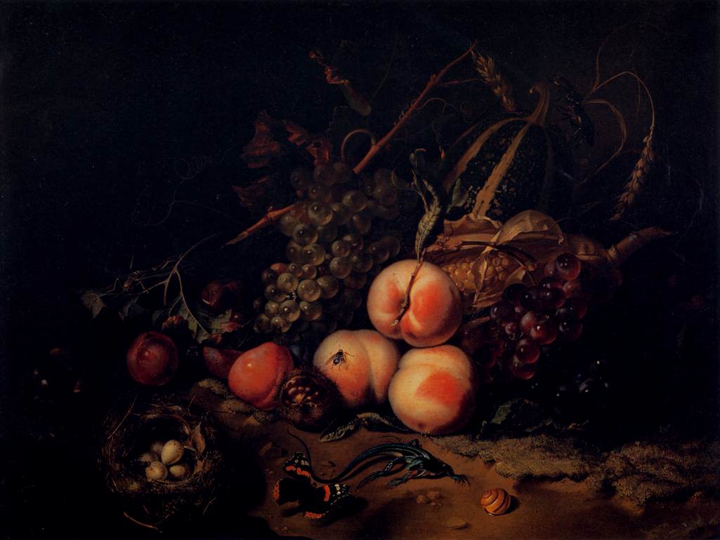 Still-Life with Fruit and Insects by RUYSCH, Rachel