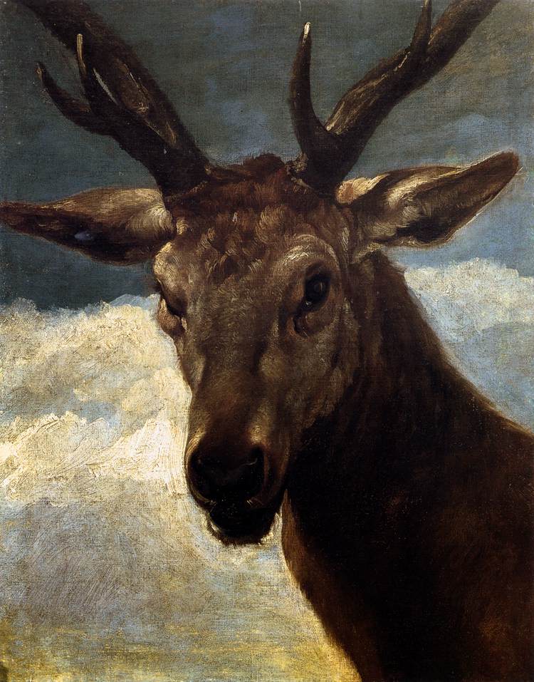 Head of a Stag by VELÁZQUEZ, Diego Rodriguez de Silva y