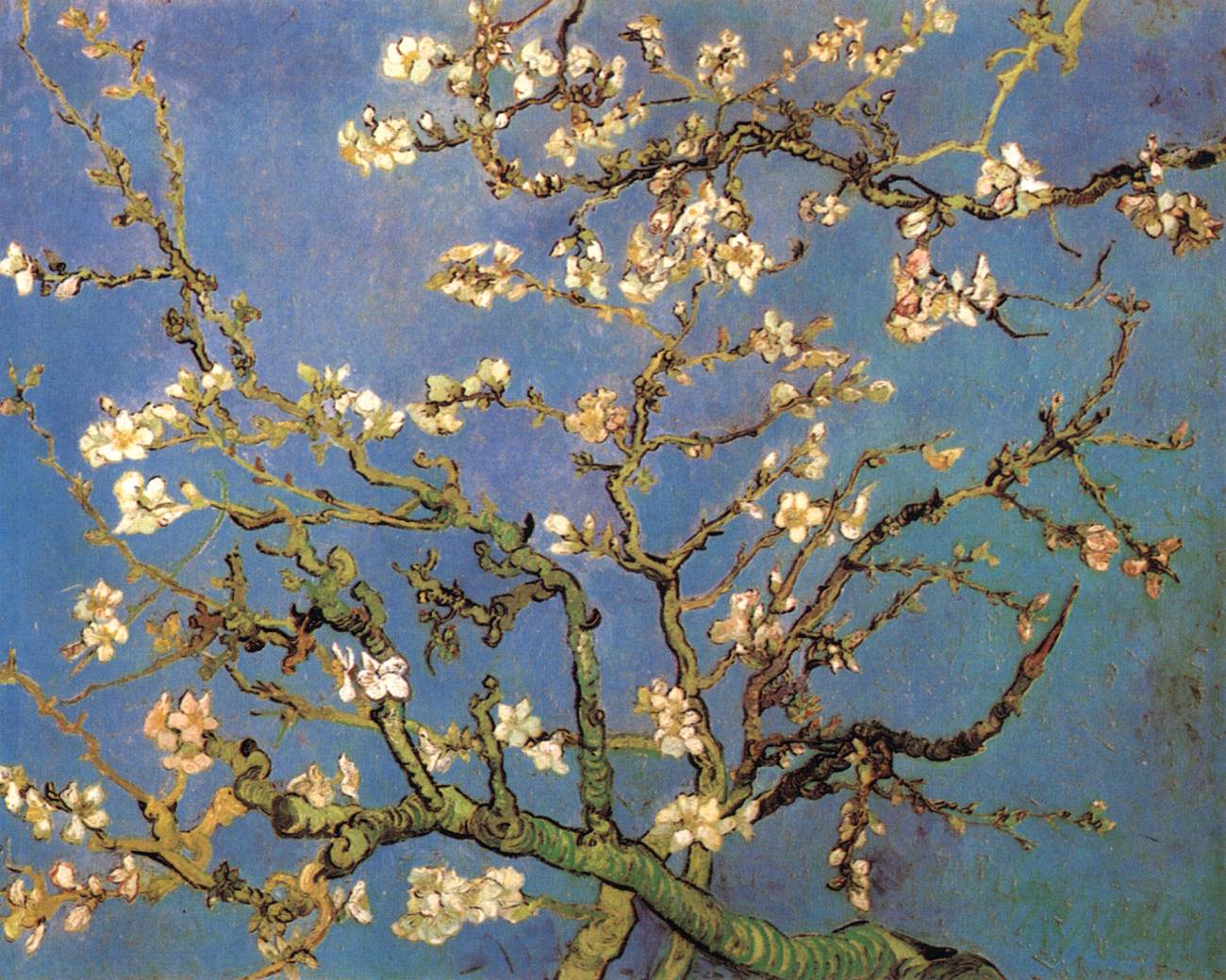 Blossoming Almond Tree by GOGH, Vincent van