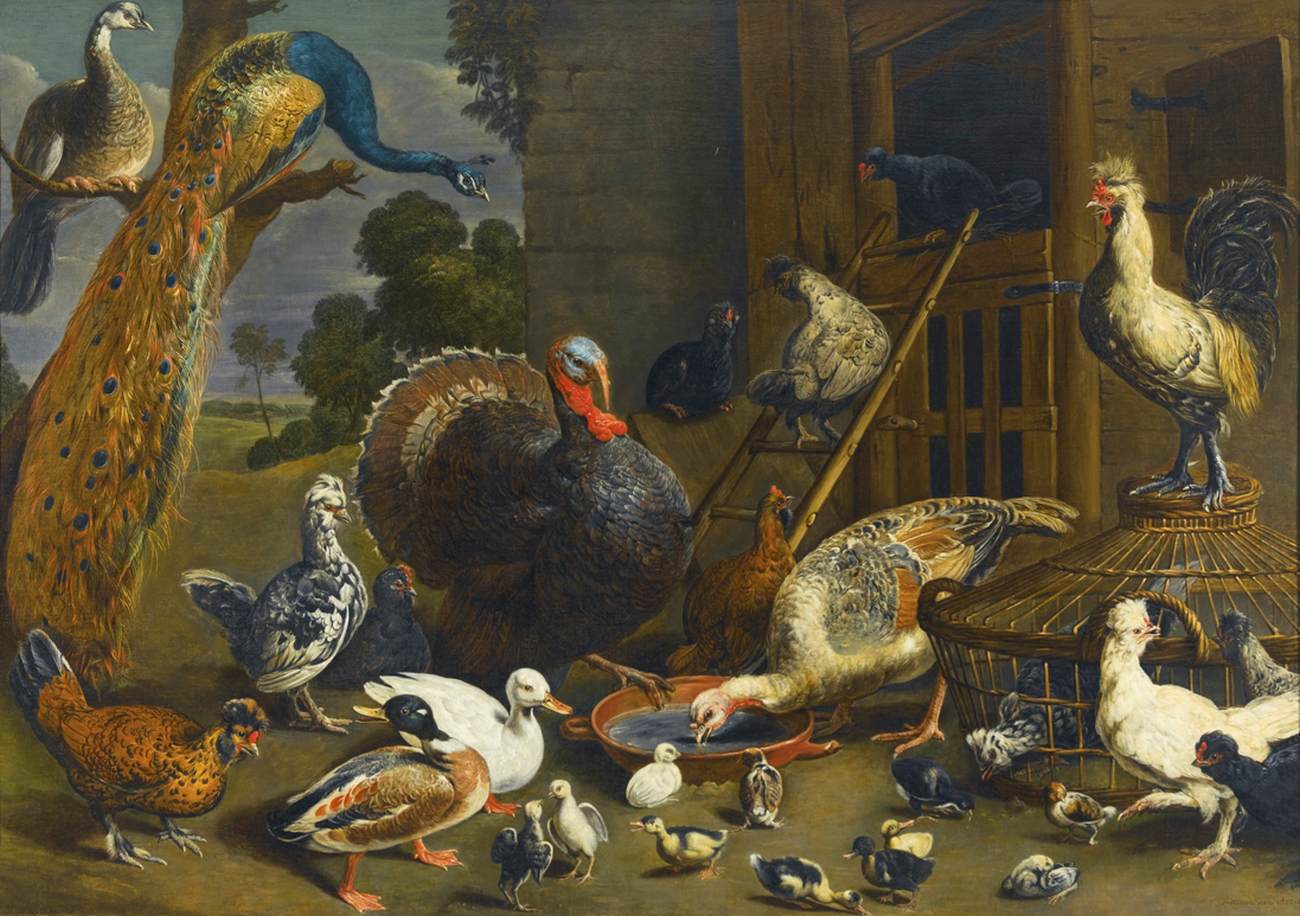 A Variety of Birds by UTRECHT, Adriaen van