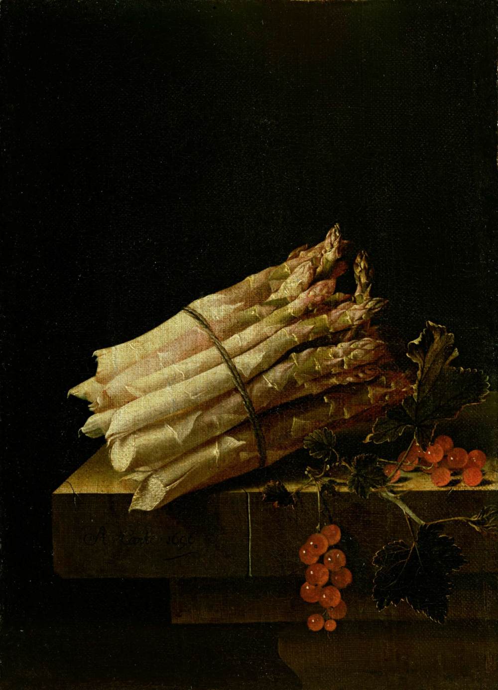 Still-Life with Asparagus and Red Currants by COORTE, Adriaen