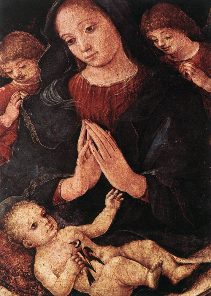 Madonna del Cardellino by