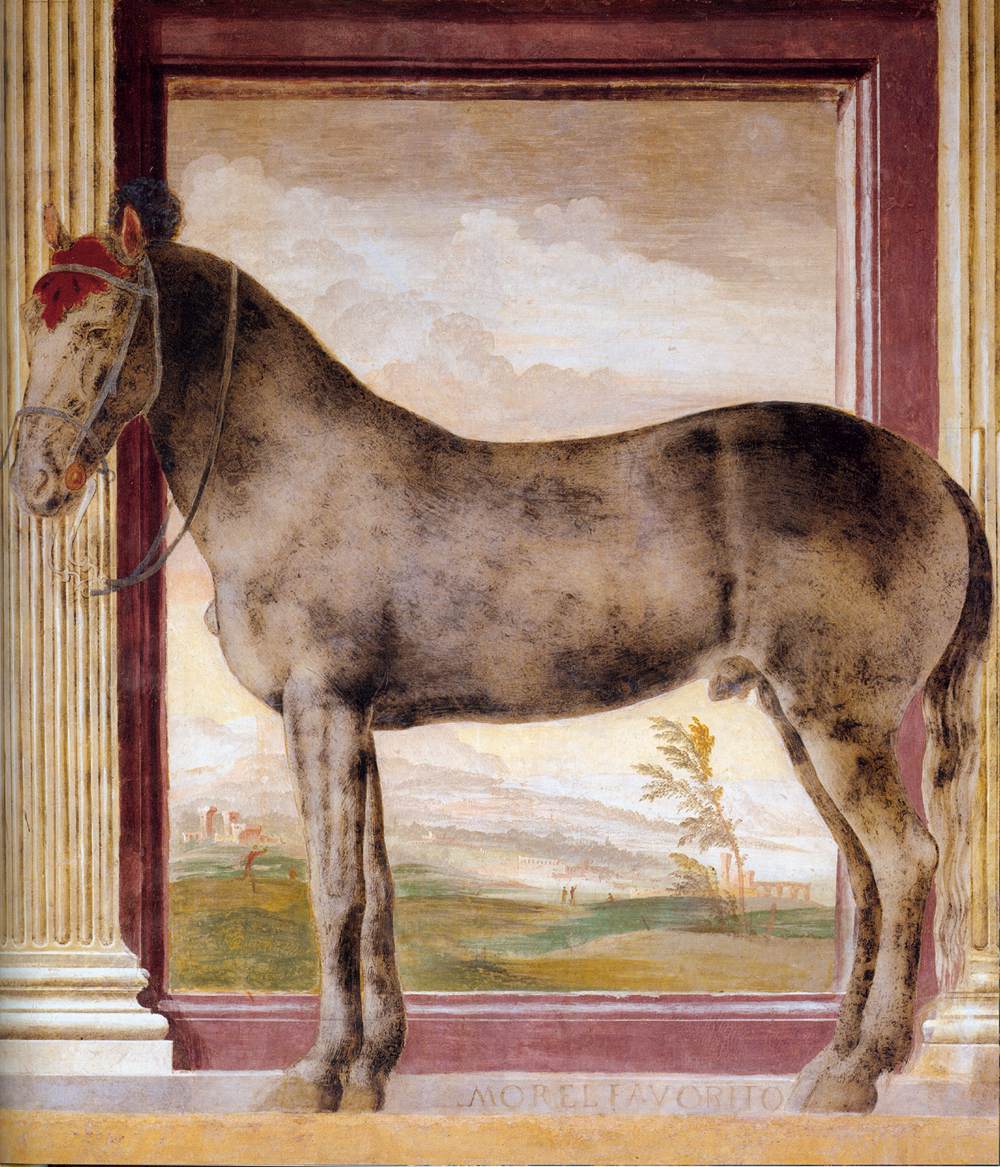 "The Horse "Morel favorito" by GIULIO ROMANO