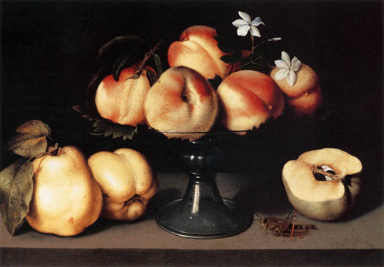 Still-Life by GALIZIA, Fede