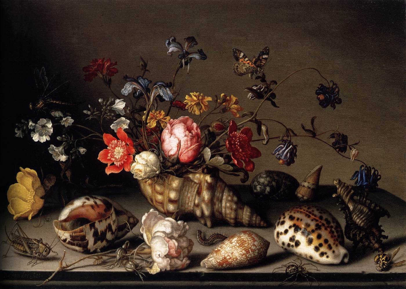 Still-Life of Flowers, Shells, and Insects by AST, Balthasar van der