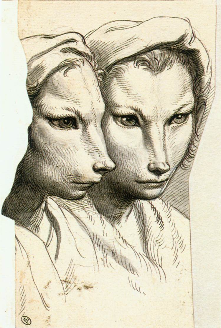 Physiognomic Heads Inspired by a Weasel by