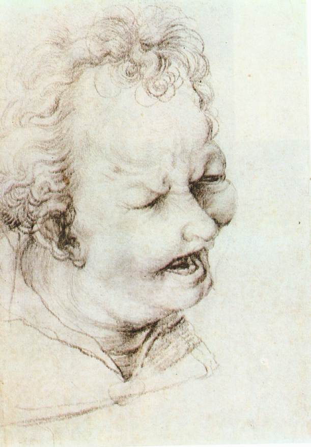 Head of a Shouting Man by GRÜNEWALD, Matthias