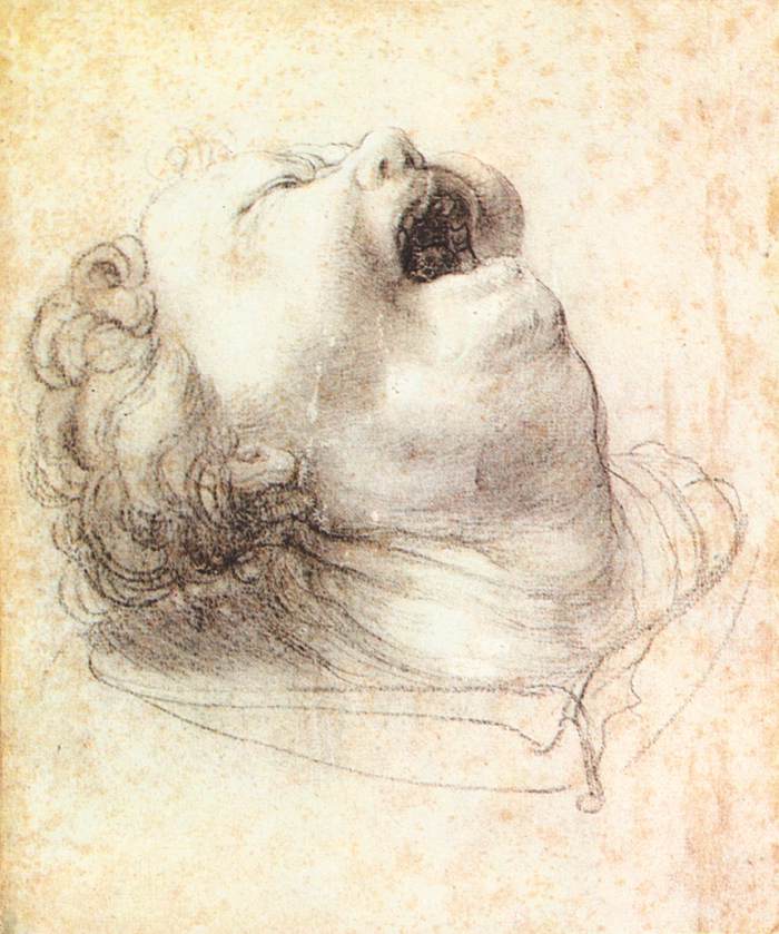 Head of a Shouting Man by GRÜNEWALD, Matthias