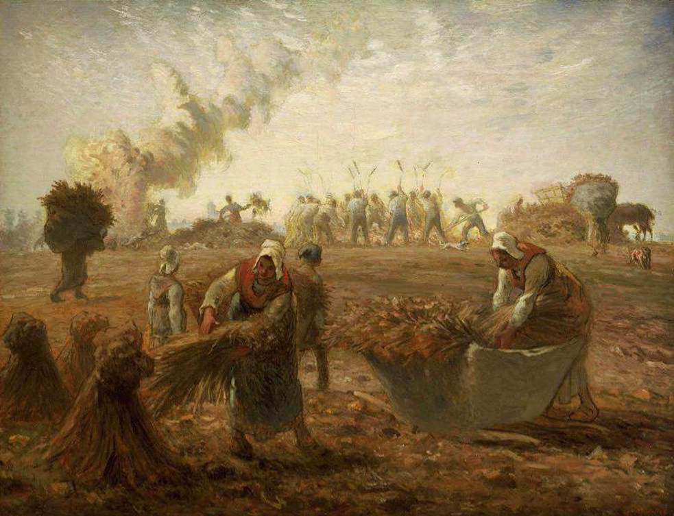 Buckwheat Harvest: Summer by MILLET, Jean-François