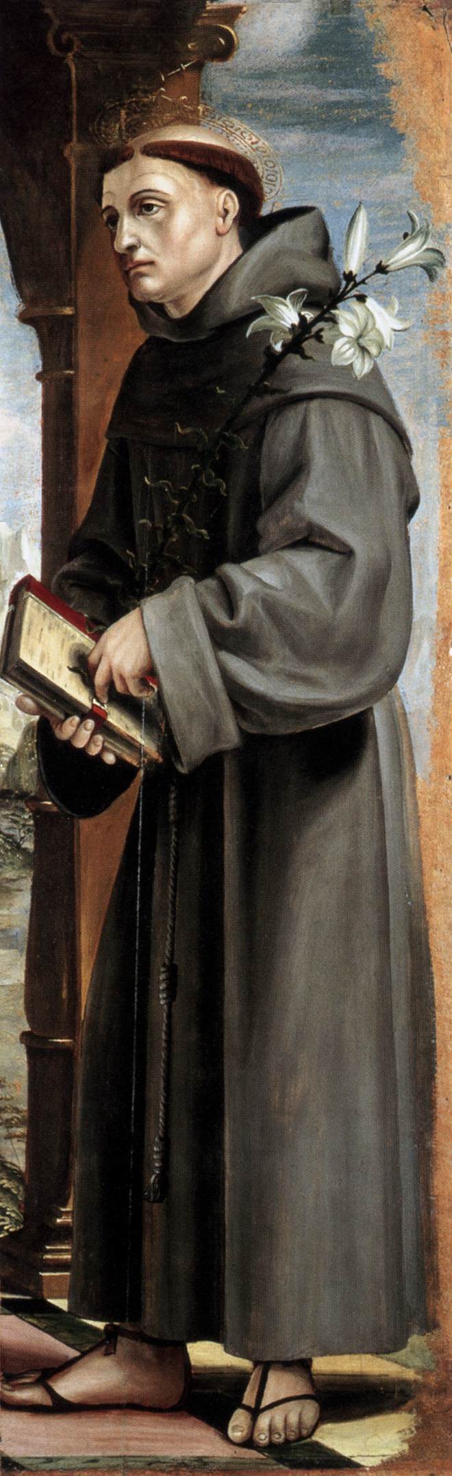 St Anthony of Padua by ZENALE, Bernardo