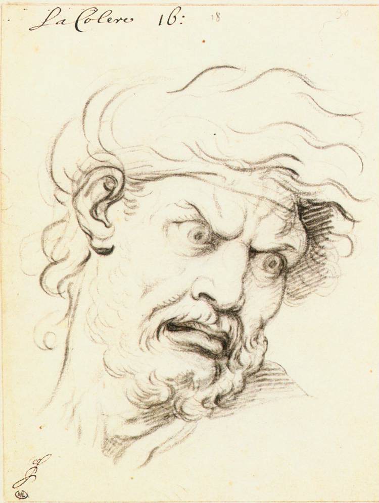 Expressions of the Passions of the Soul by LE BRUN, Charles