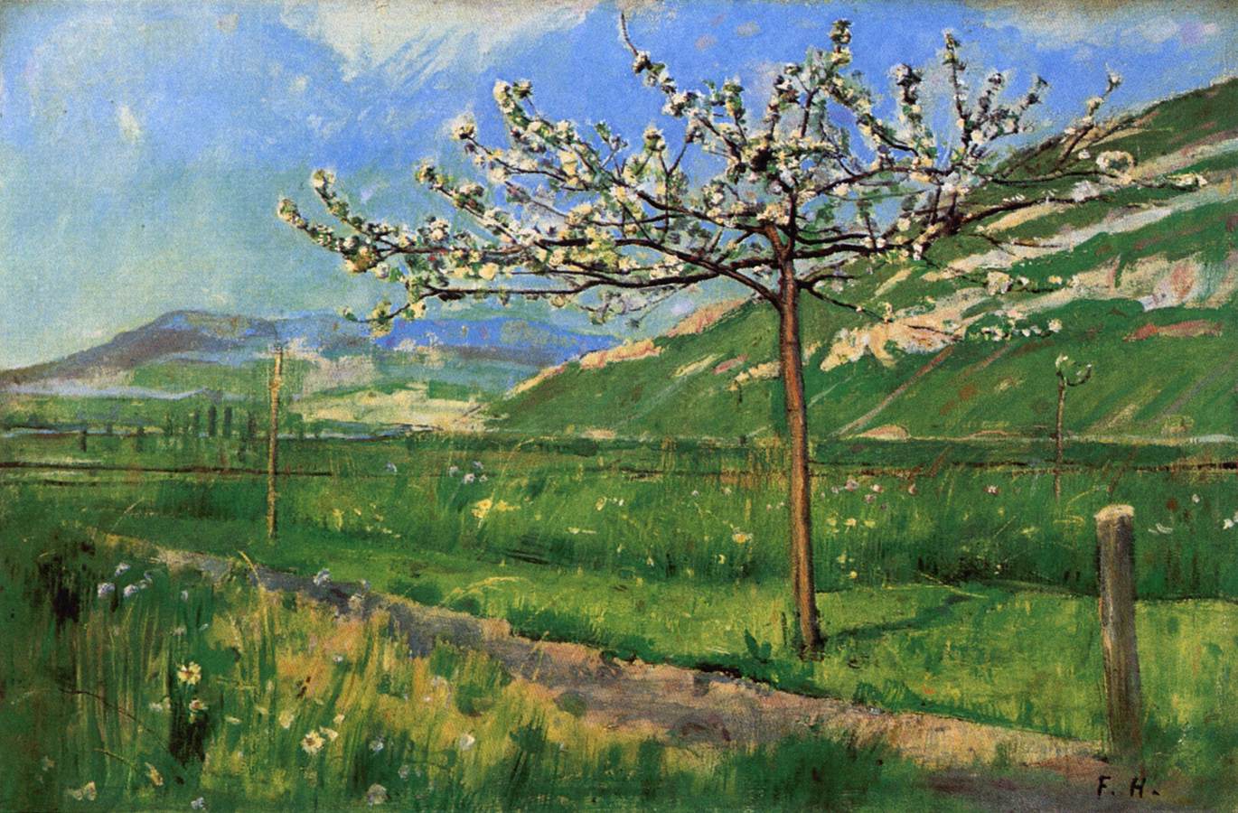 Apple Tree in Blossom by HODLER, Ferdinand