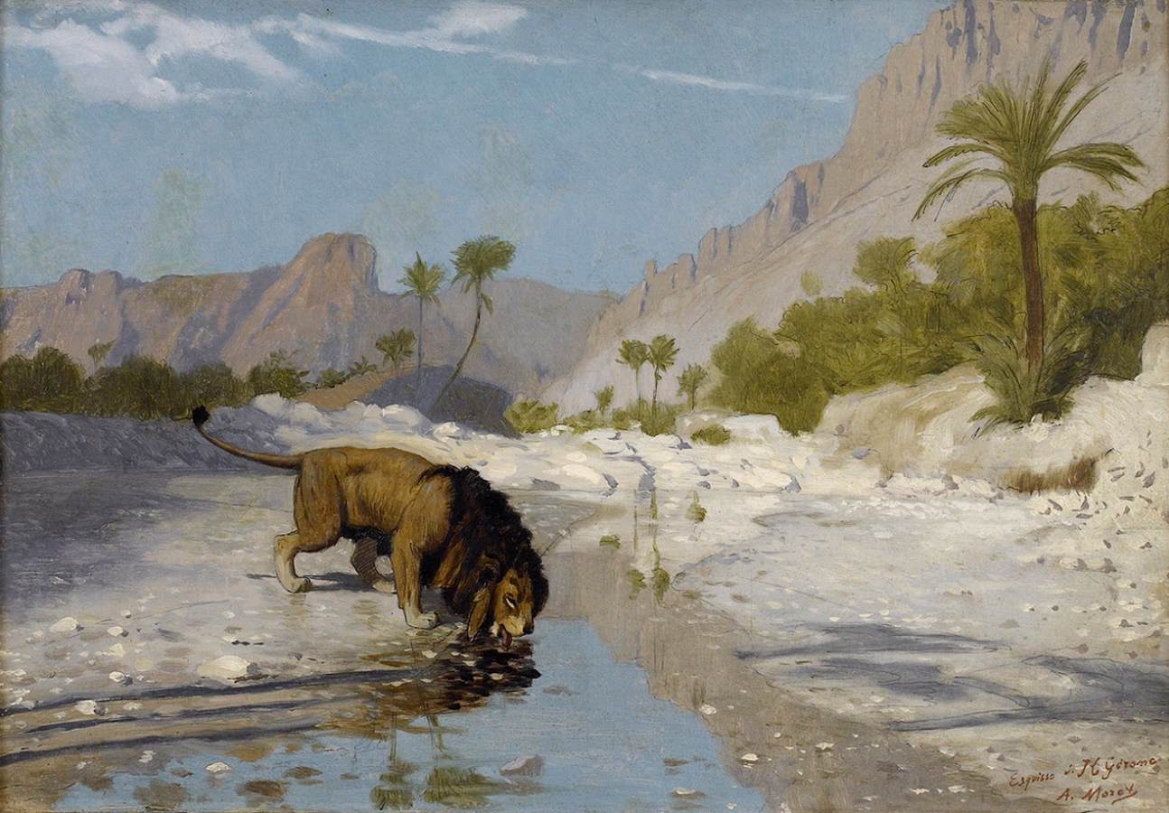 Lion Drinking from a Desert Stream by GÉRÔME, Jean-Léon