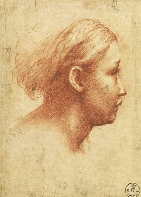 Head of a Girl in Profile by