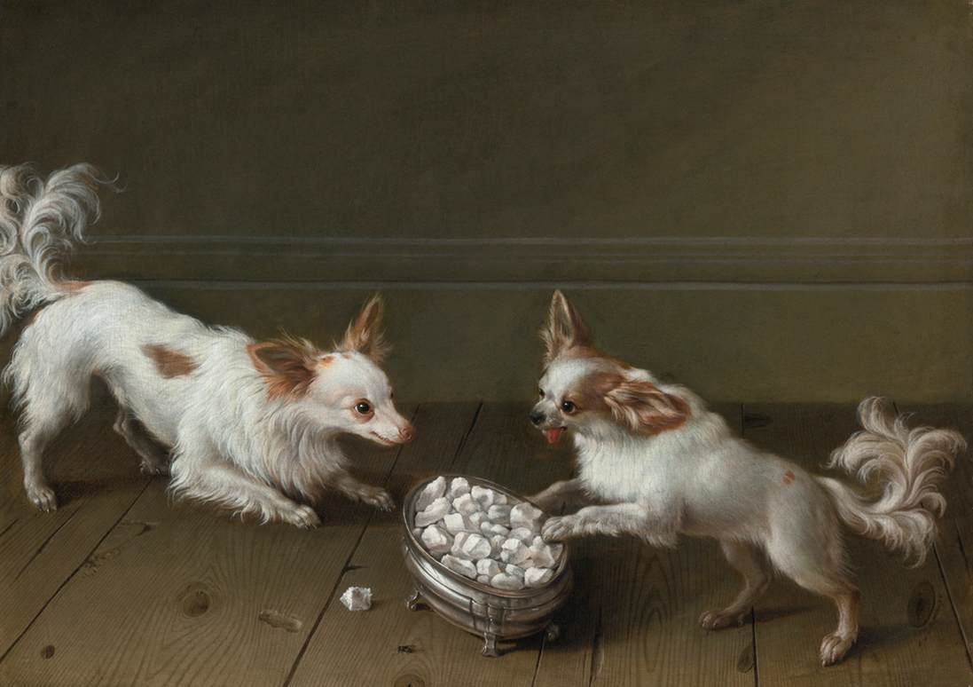 Two Toy Spaniels at a Sugar Bowl by