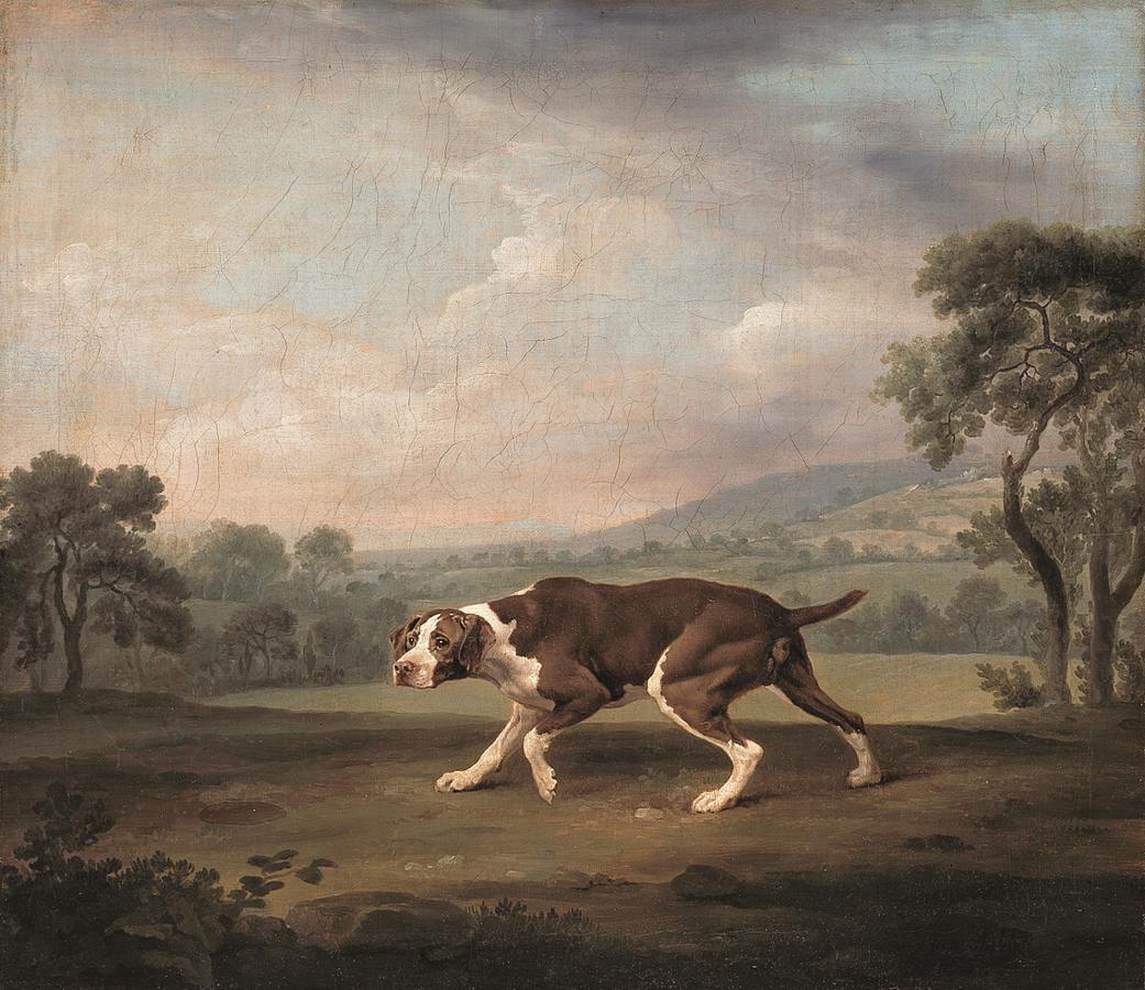 The Pointer by STUBBS, George