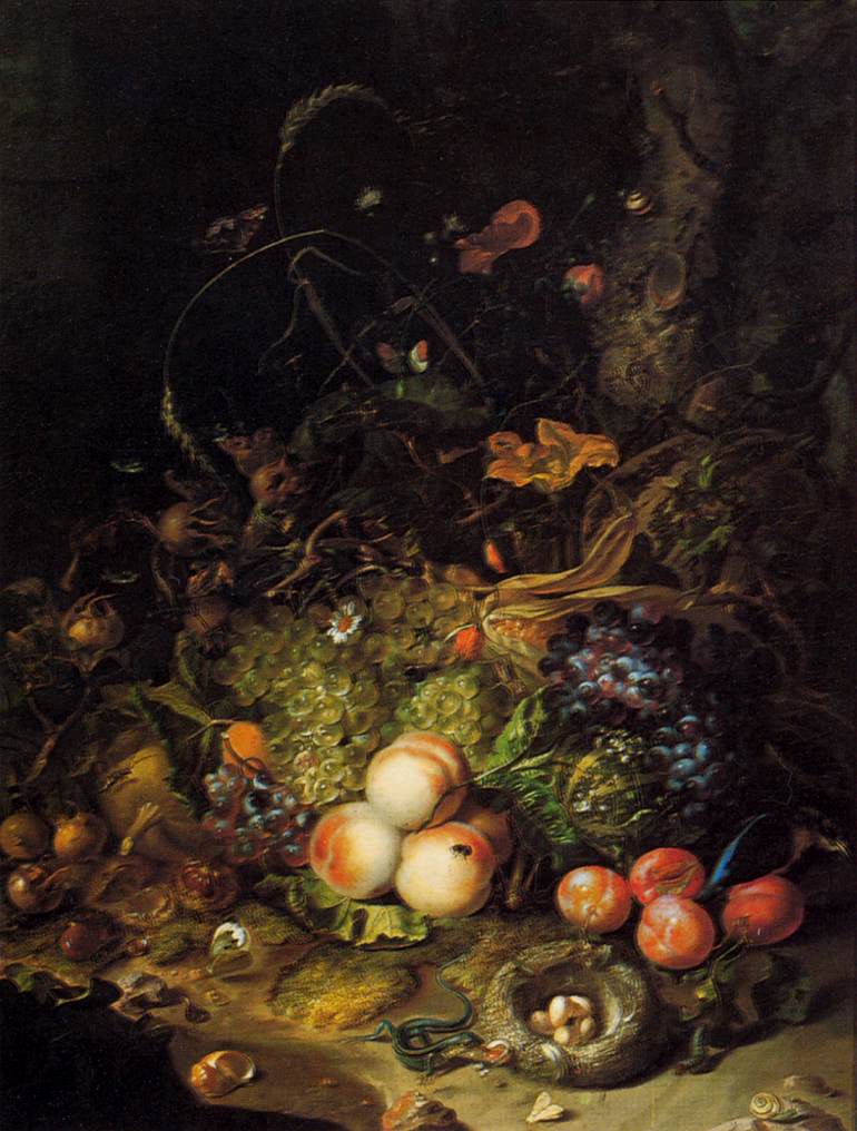 Flowers, Fruit, and Insects by RUYSCH, Rachel