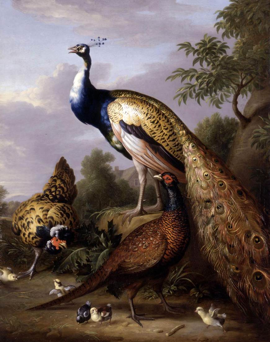 Peacock, Hen and Cock Pheasant in a Landscape by STRANOVER, Tobias