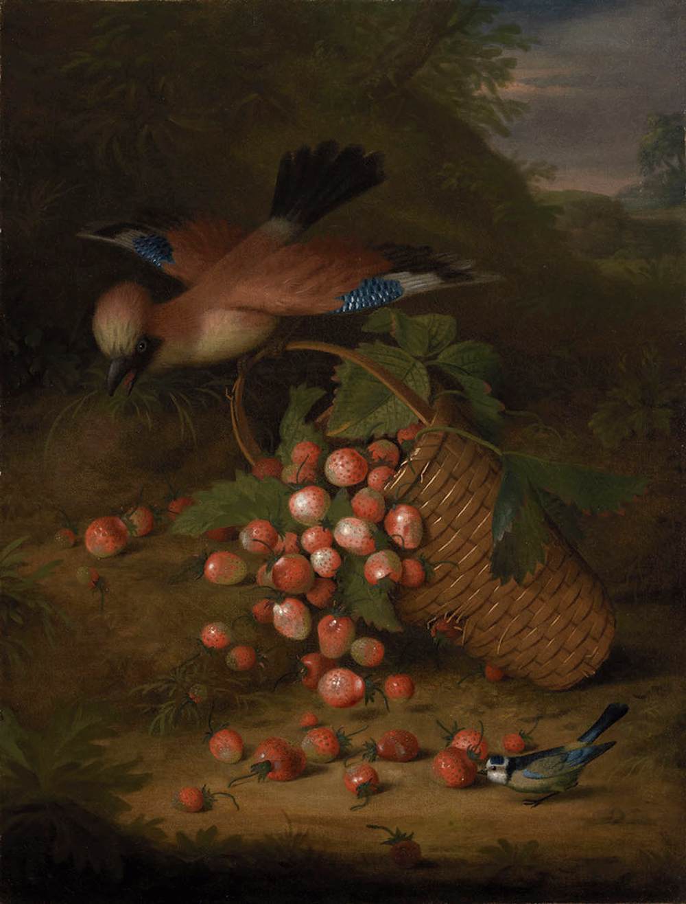 A Jay with a Basket of Strawberries by STRANOVER, Tobias