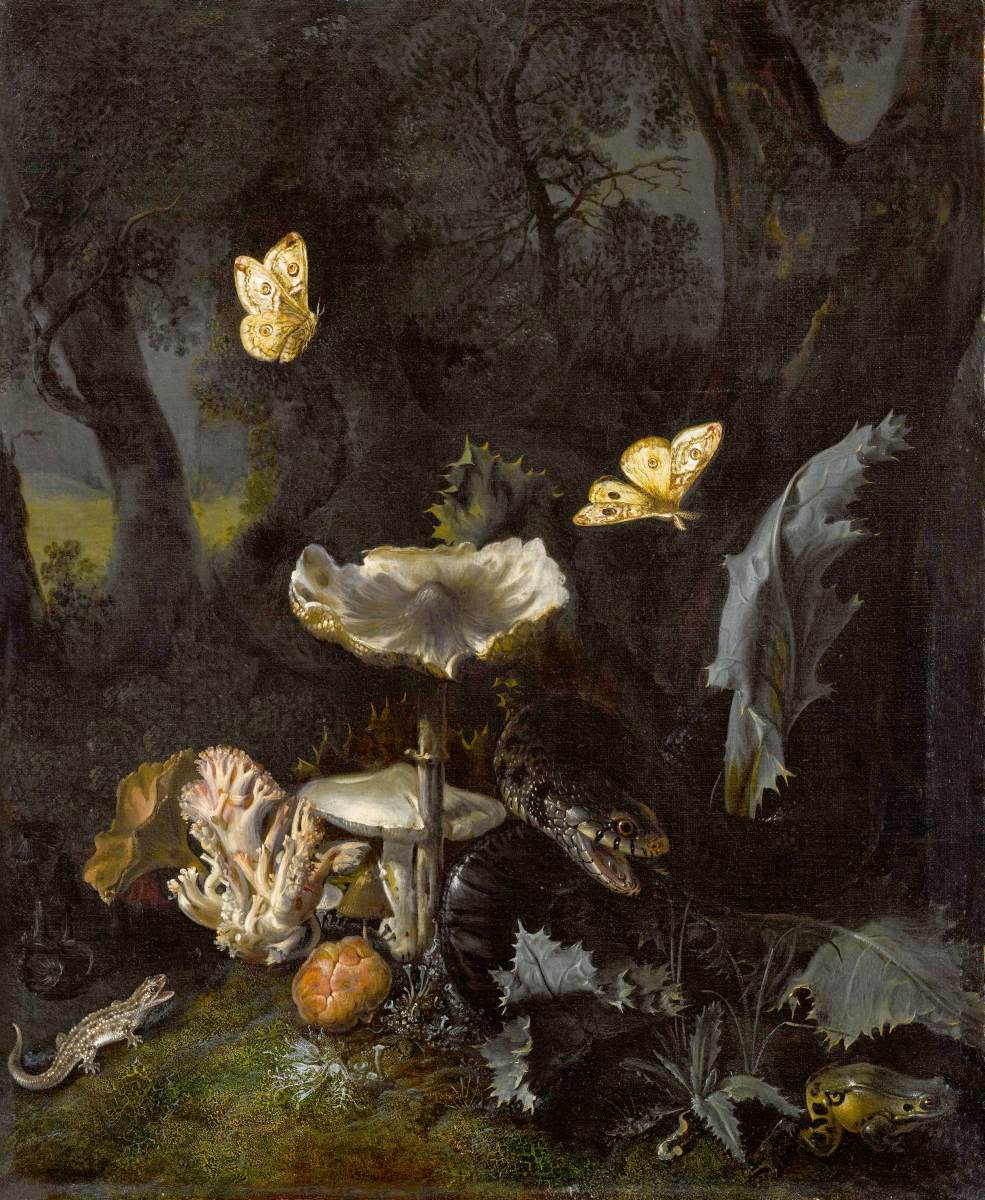 A Forest Floor Still-Life by MARSEUS VAN SCHRIECK, Otto