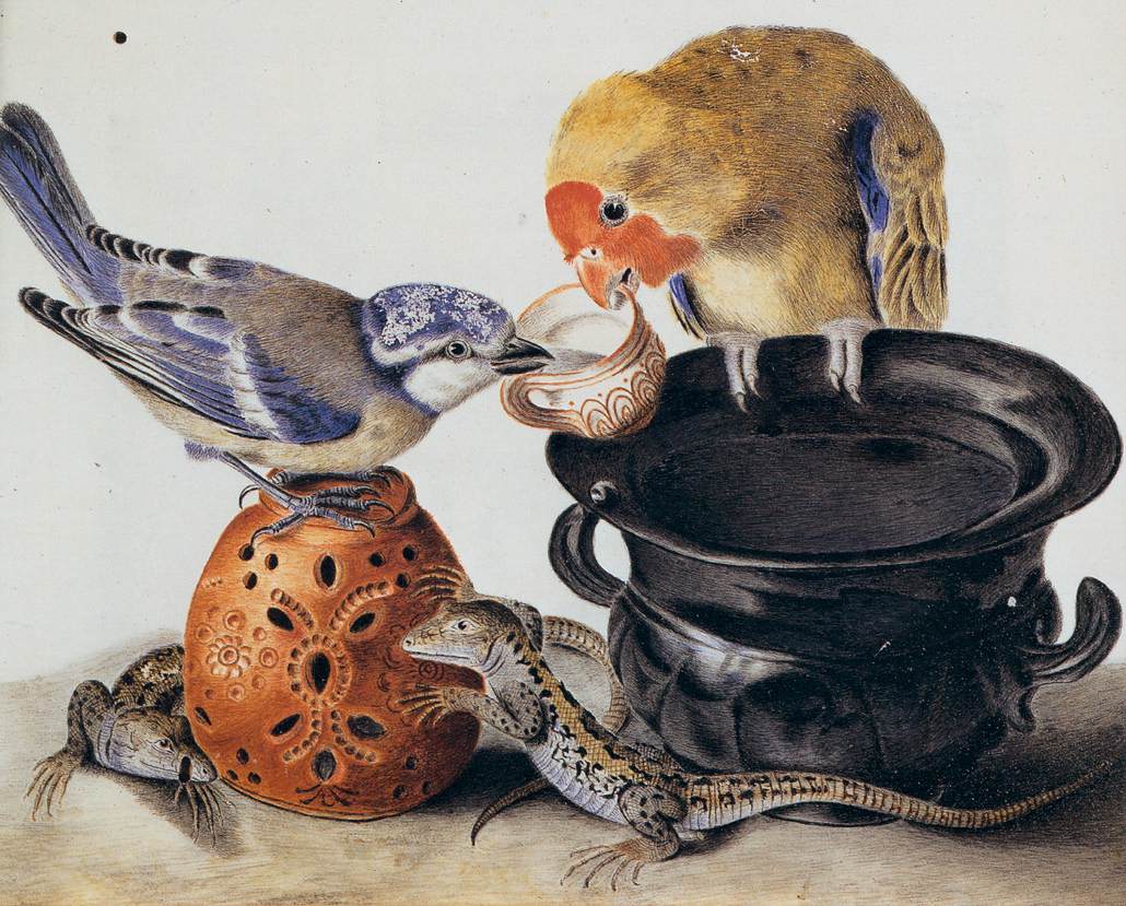 Parrot, Blue Tit, Two Lizards, and Vases by VITELLI, Luisa