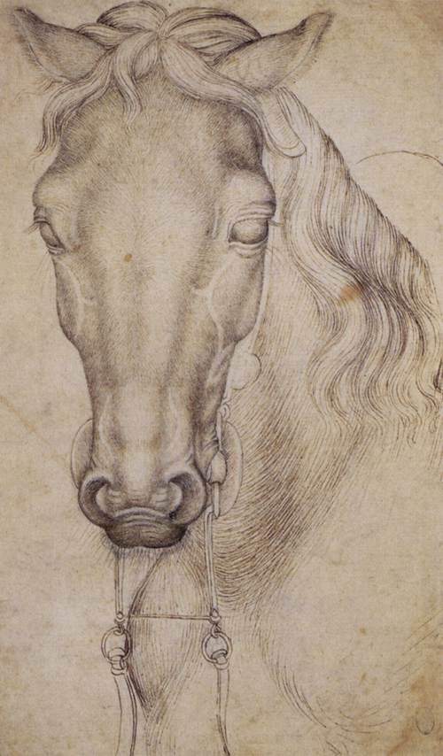 Study of the Head of a Horse by PISANELLO