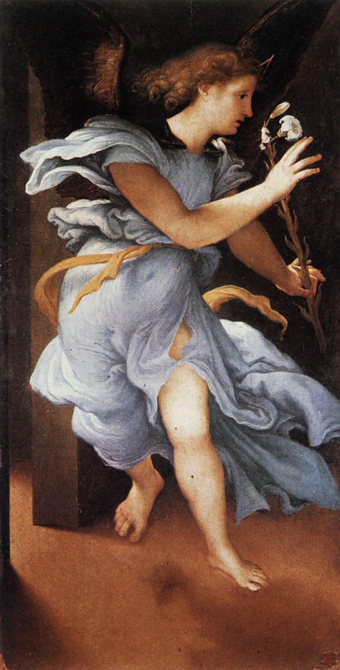 Angel of the Annunciation by LOTTO, Lorenzo