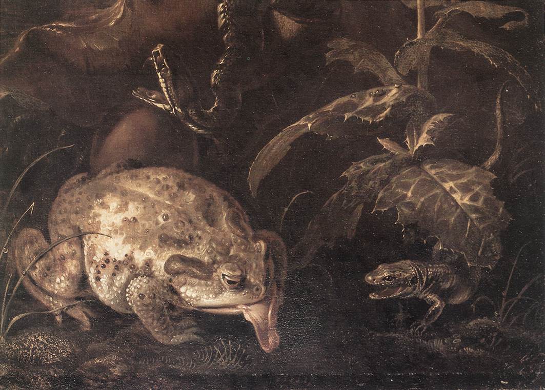 Still-Life with Insects and Amphibians (detail) by MARSEUS VAN SCHRIECK, Otto