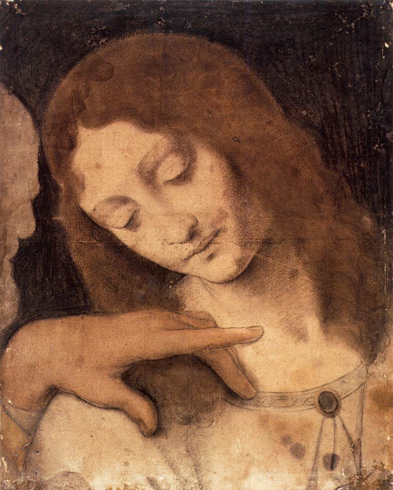 Head of St John the Evangelist by LEONARDO da Vinci