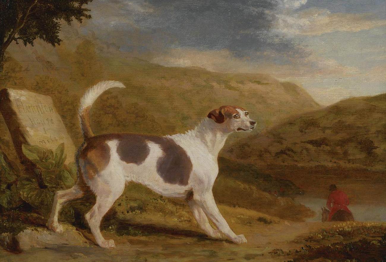 Hound in Scottish Landscape by GARRARD, George