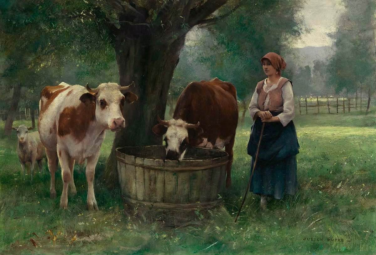 Young Woman Watering Cattle by