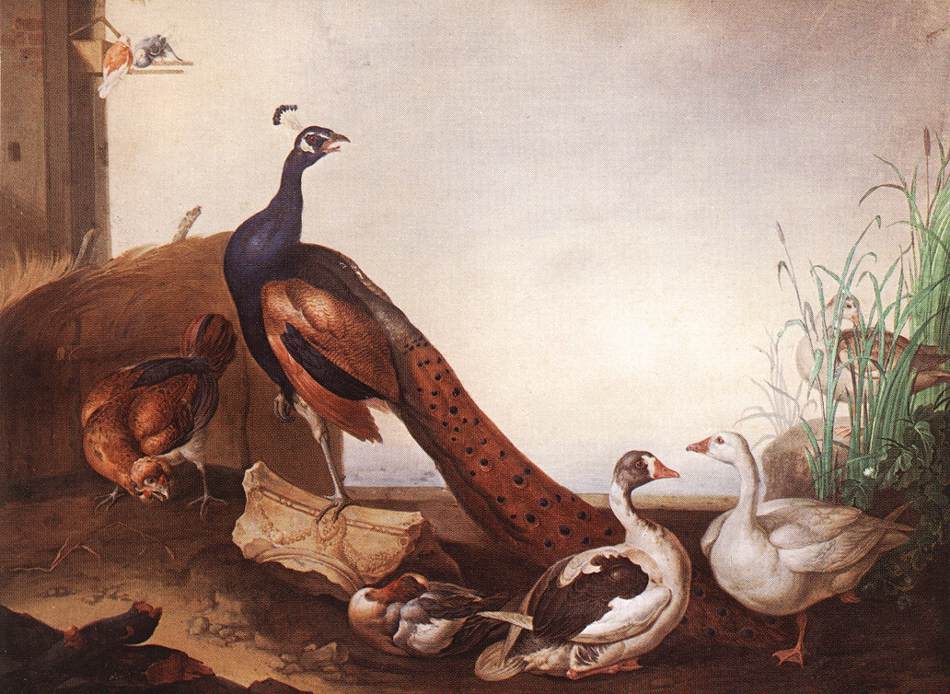 Peacock with Geese and Hen by BOGDÁNY, Jakab