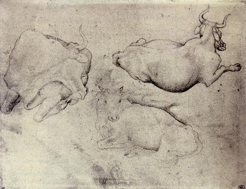 Three Cows by PISANELLO