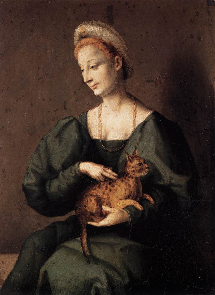 Woman with a Cat by BACCHIACCA