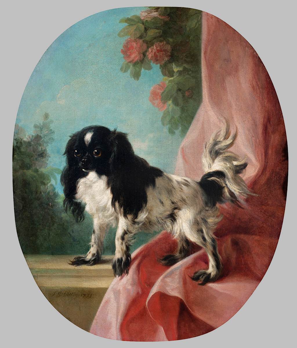 A Cavalier King Charles Spaniel by HUET, Christophe