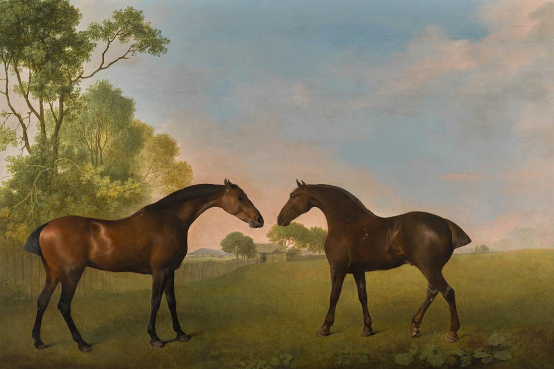 Two Bay Hunters in a Paddock by STUBBS, George