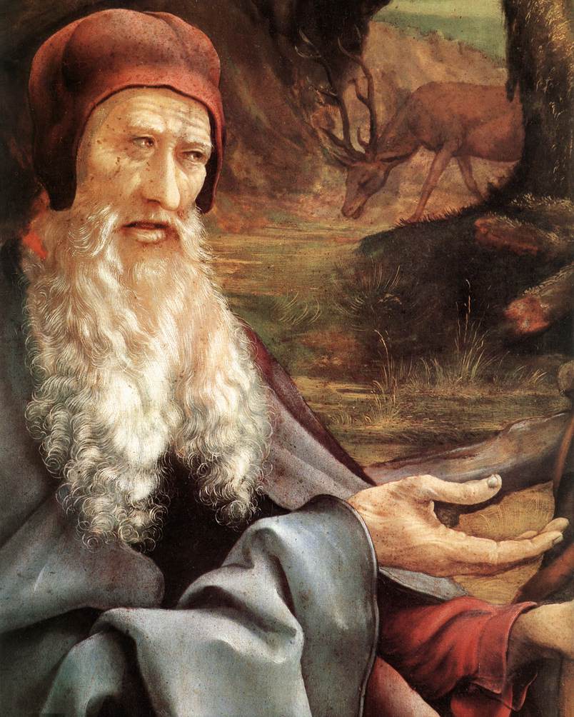 St Anthony (detail) by GRÜNEWALD, Matthias