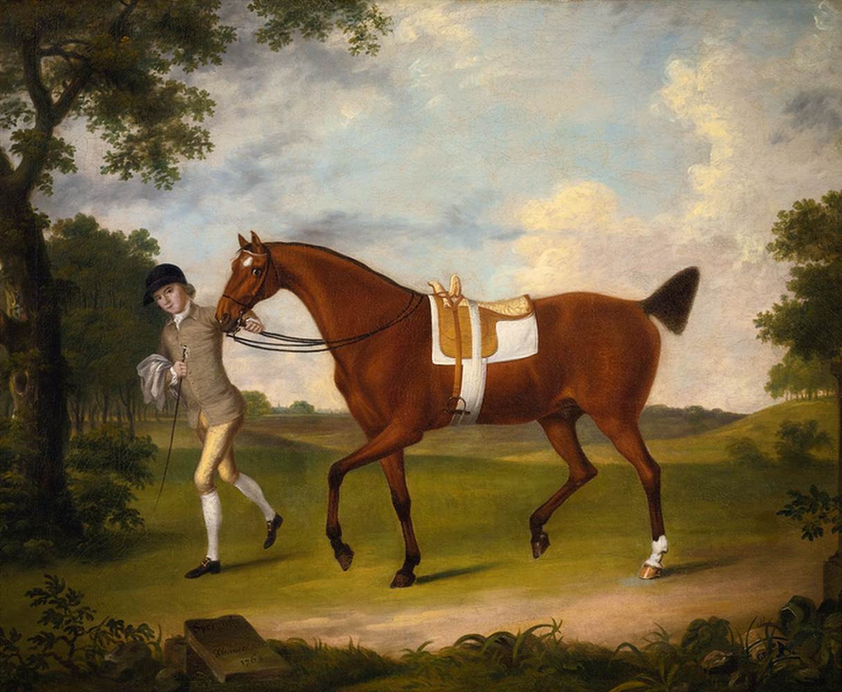 Sprightly, a Lady's Hack by STRINGER, Francis