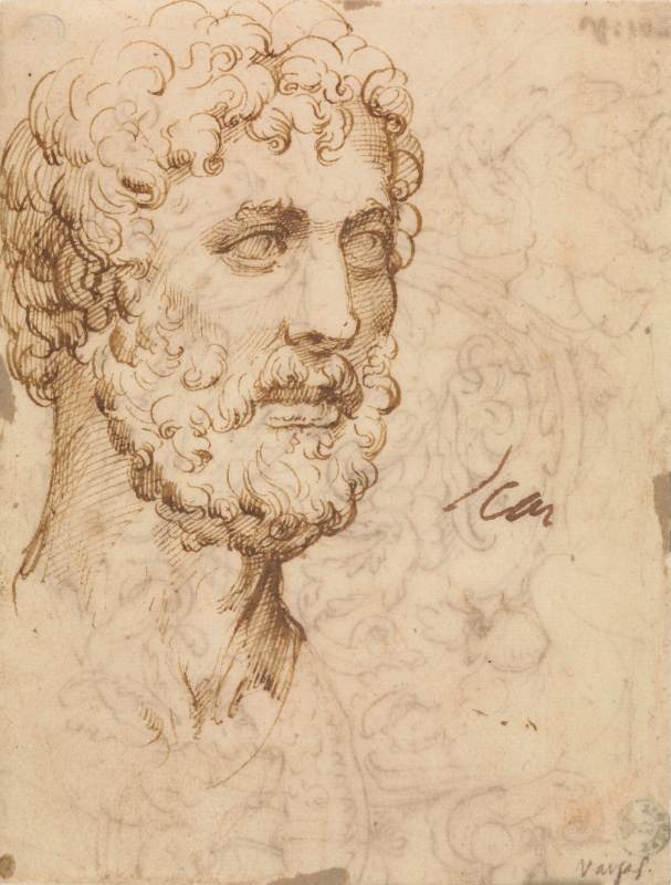 Head of a man all'antico by PARMIGIANINO