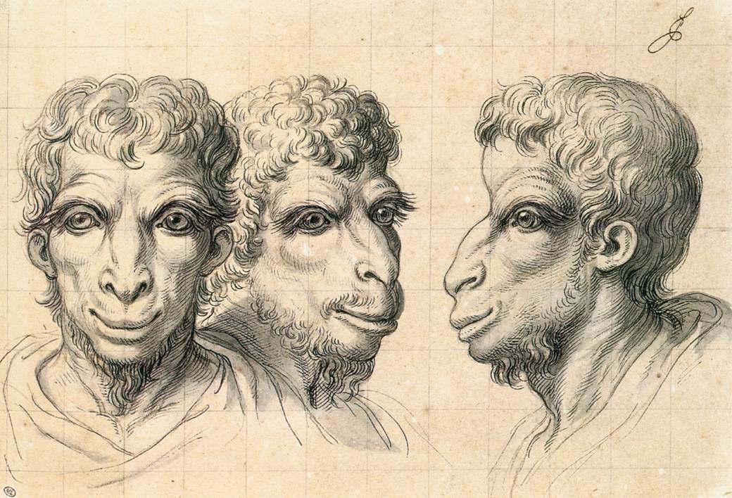 Physiognomic Heads Inspired by a Camel by LE BRUN, Charles