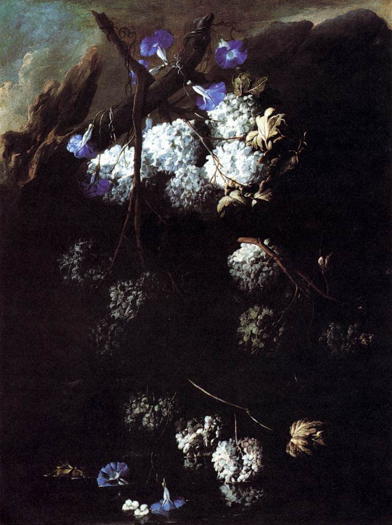 Flowers by BELVEDERE, Andrea