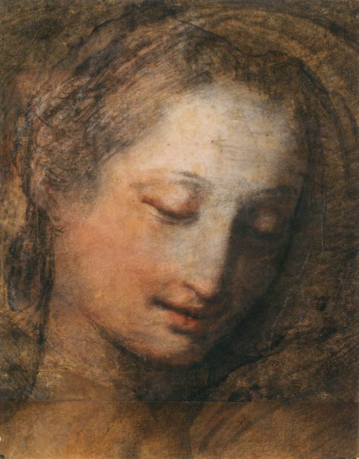 Face of a Woman with Downcast Eyes by BAROCCI, Federico Fiori