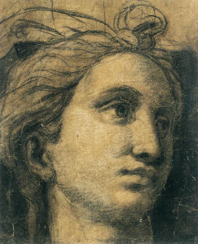 Head of a Hermaphrodite by GIULIO ROMANO