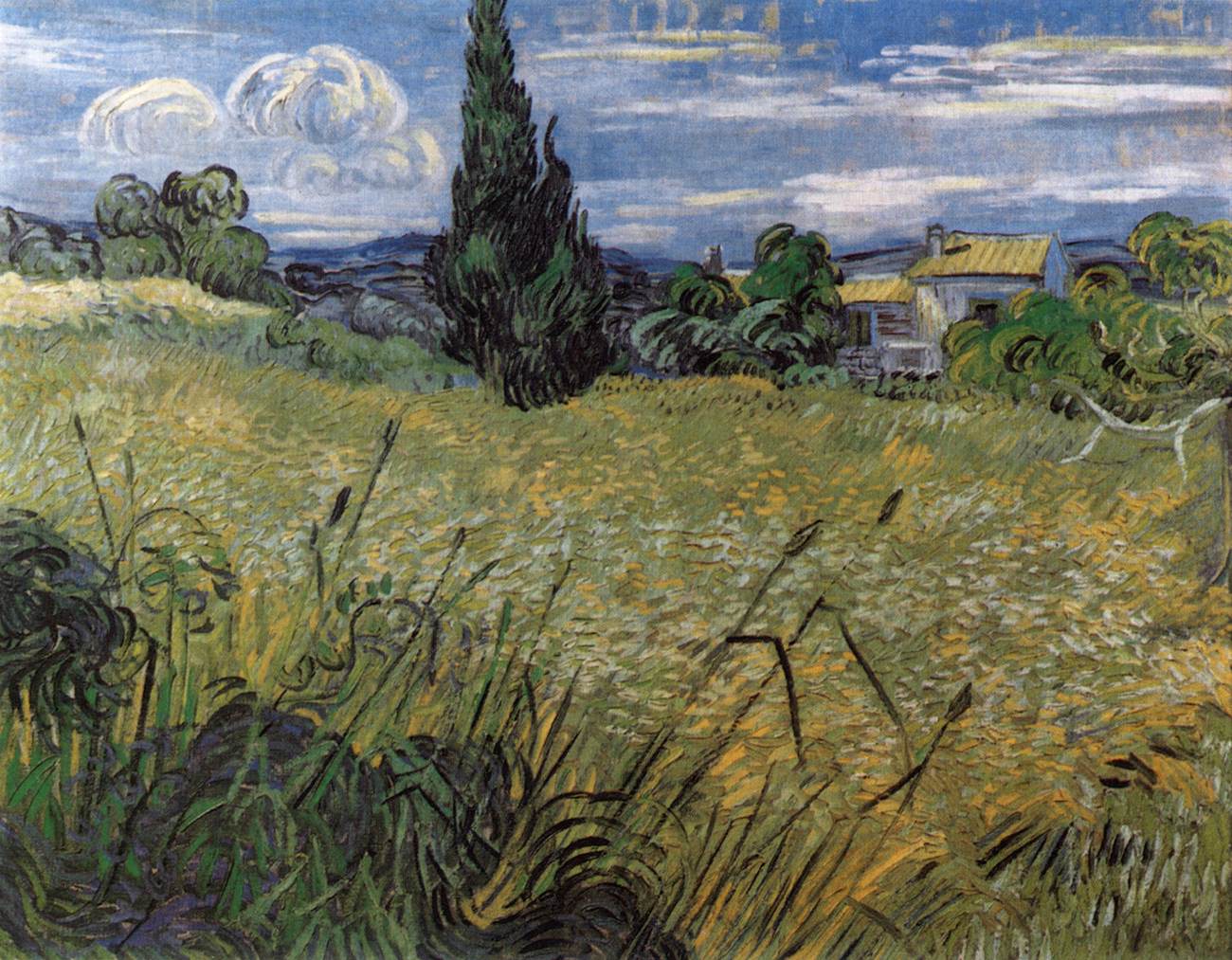 Green Wheat Field with Cypress by GOGH, Vincent van