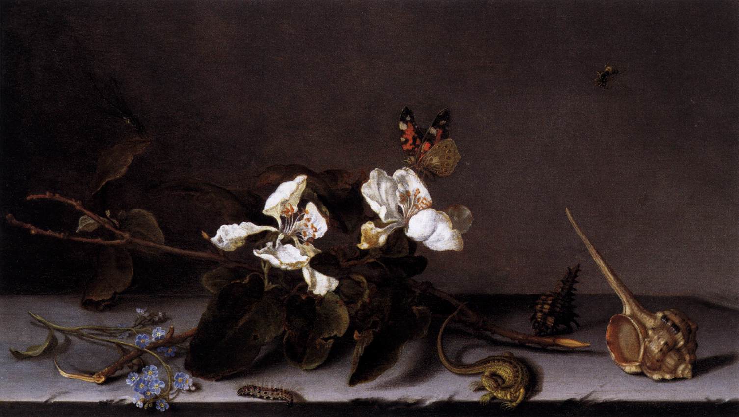 Still-Life with Apple Blossoms by AST, Balthasar van der