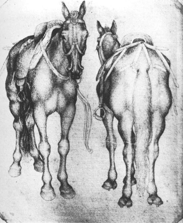 Horses by PISANELLO