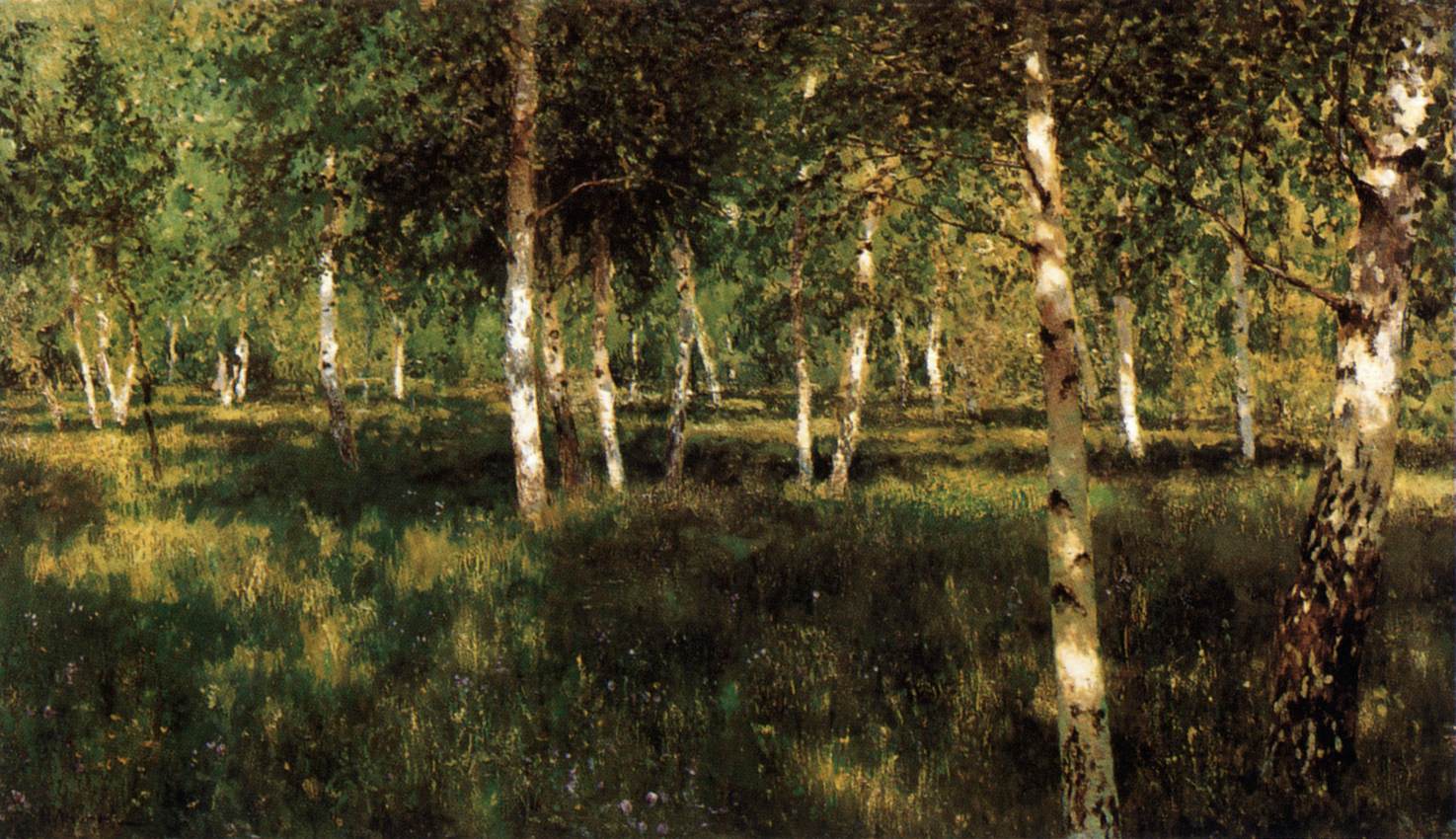 Birch Grove by