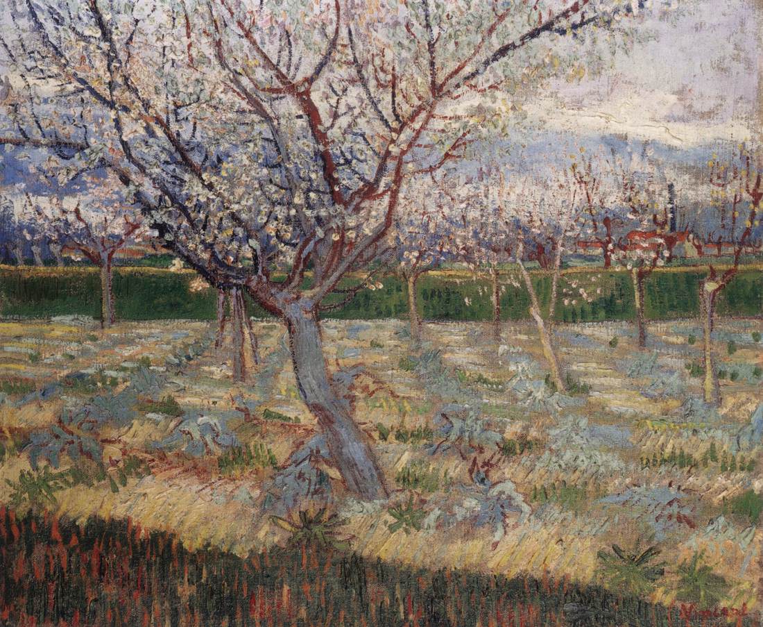 Apricot Trees in Blossom by GOGH, Vincent van